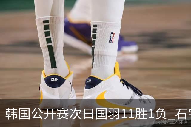 韩国公开赛次日国羽11胜1负 石宇奇李诗沣晋级